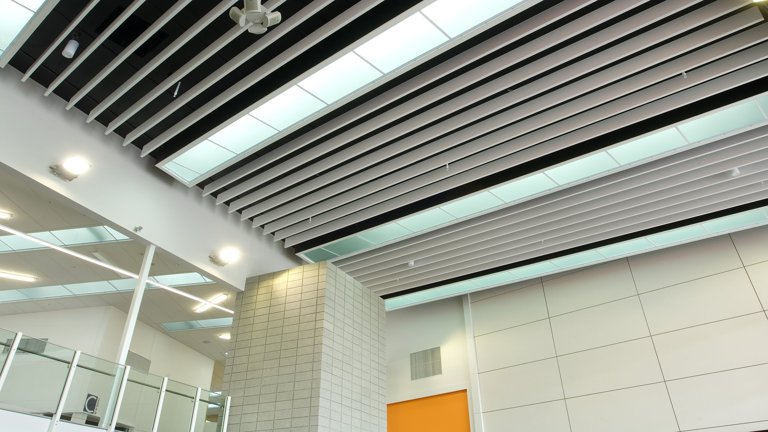 Hobsonville Point intermediate entrance Atrium showing white continiuos Baffle Beams direct fixed to ceiling