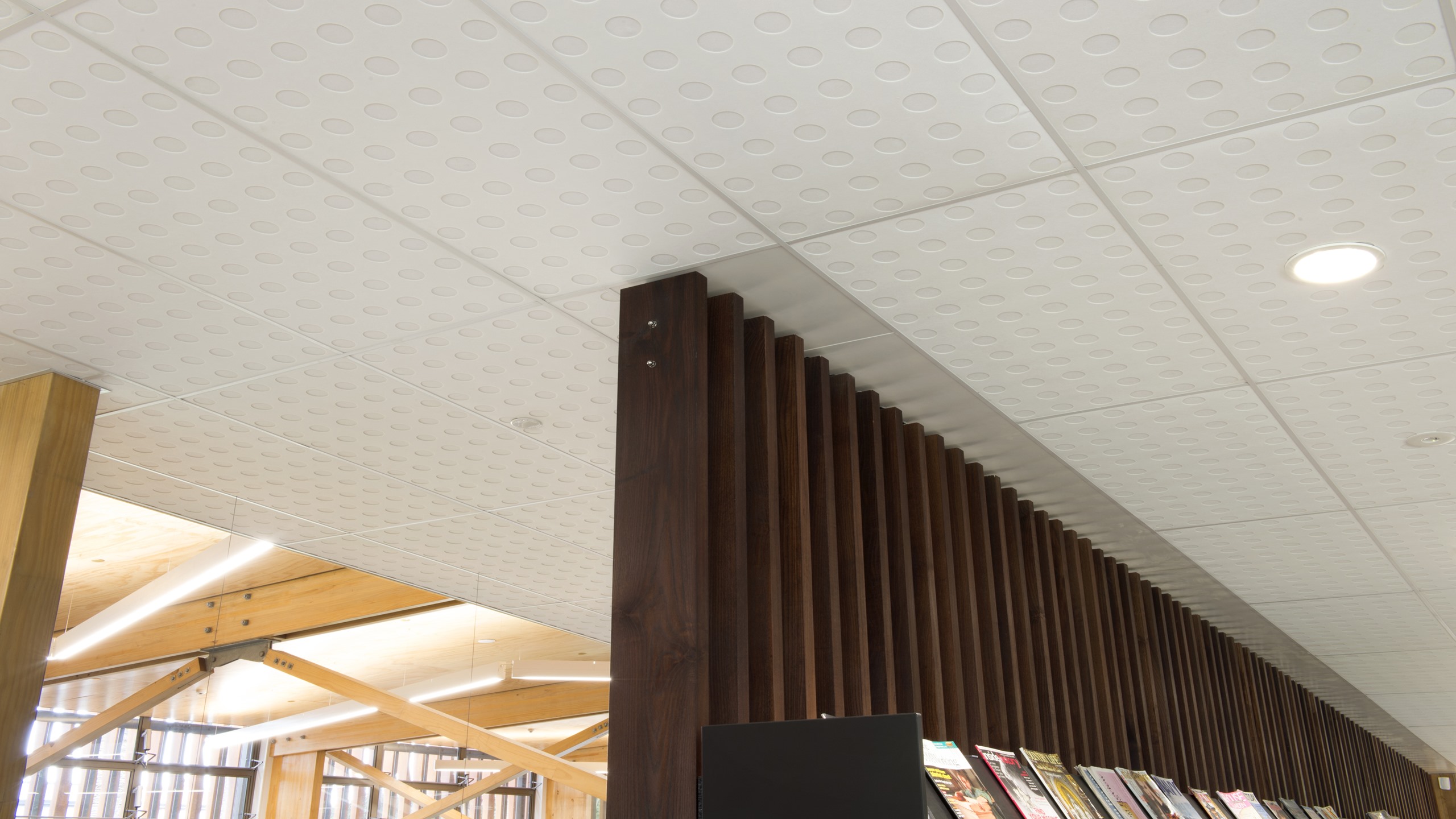 Devonport Library - Sonaris Ceiling Tiles
